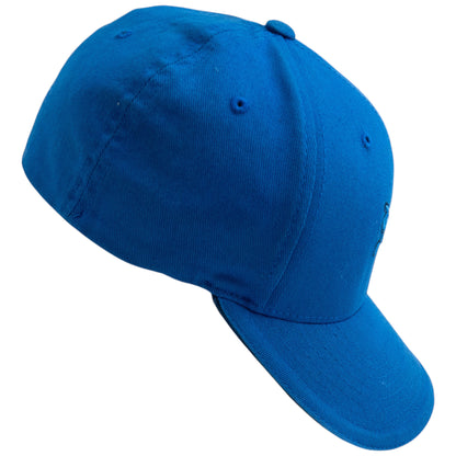 Vintage 2000s Arcteryx Embroidered Flexfit Hat