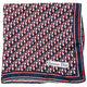 Vintage 2000s Dior Monogram Silk Scarf