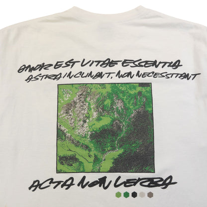 Vintage 2000s Stussy X Futura Graphic T Shirt Size L