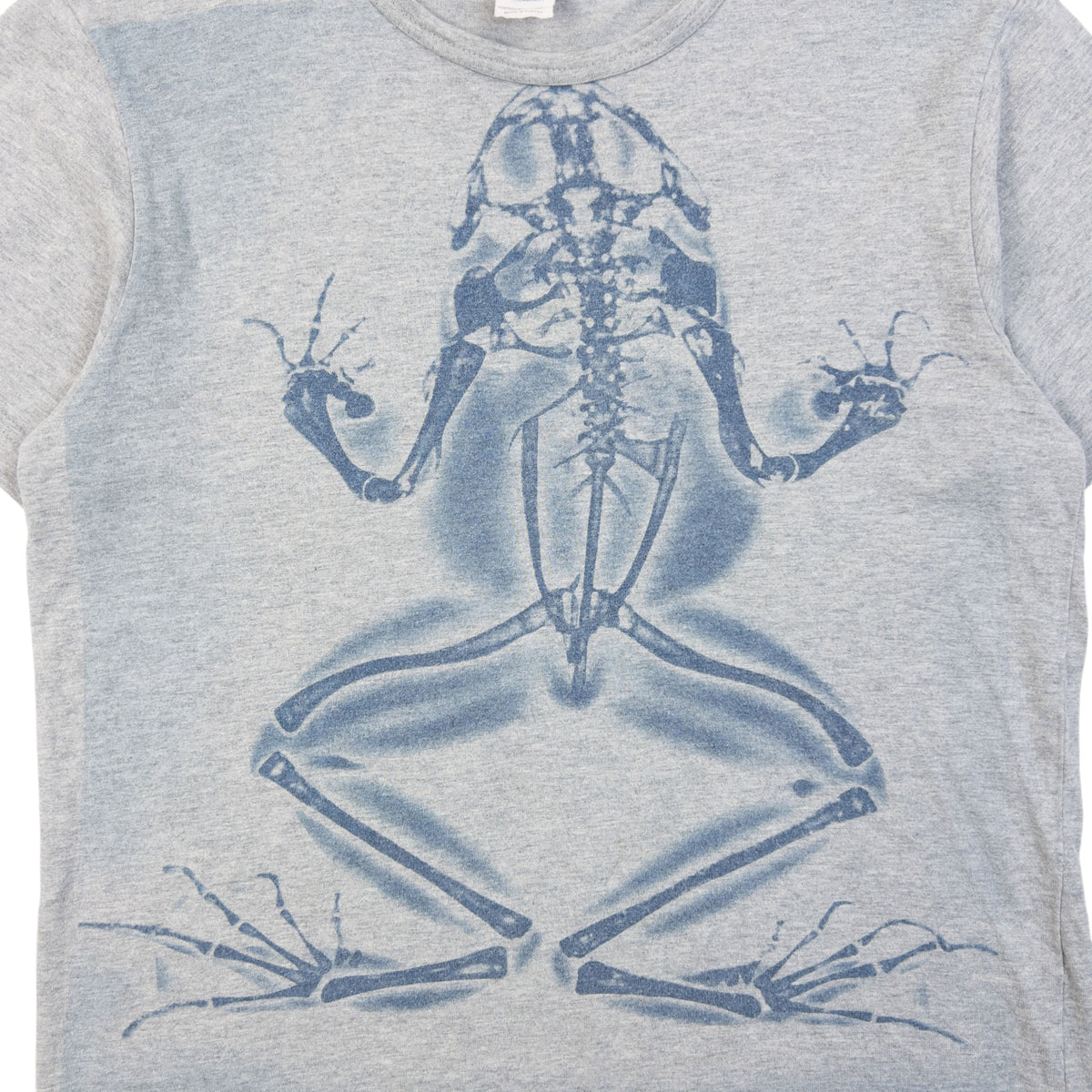Vintage 2000s Comme Des Garçons SHIRT Frog X-Ray Graphic T Shirt in grey (cotton), photo 5
