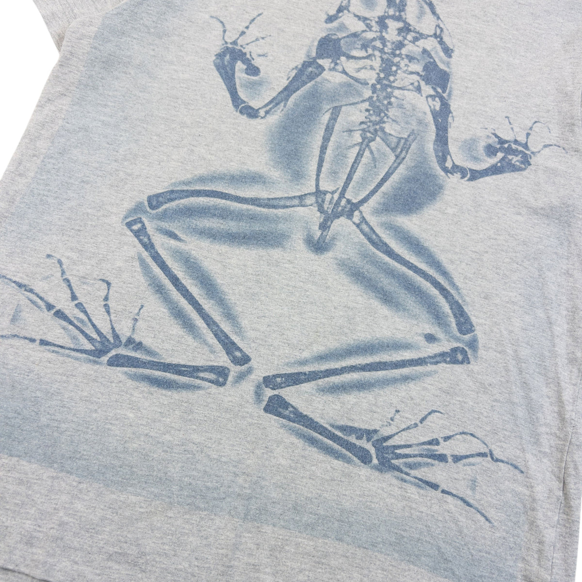 Vintage 2000s Comme Des Garçons SHIRT Frog X-Ray Graphic T Shirt in grey (cotton), photo 4