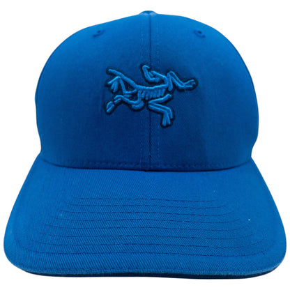 Vintage 2000s Arcteryx Embroidered Flexfit Hat