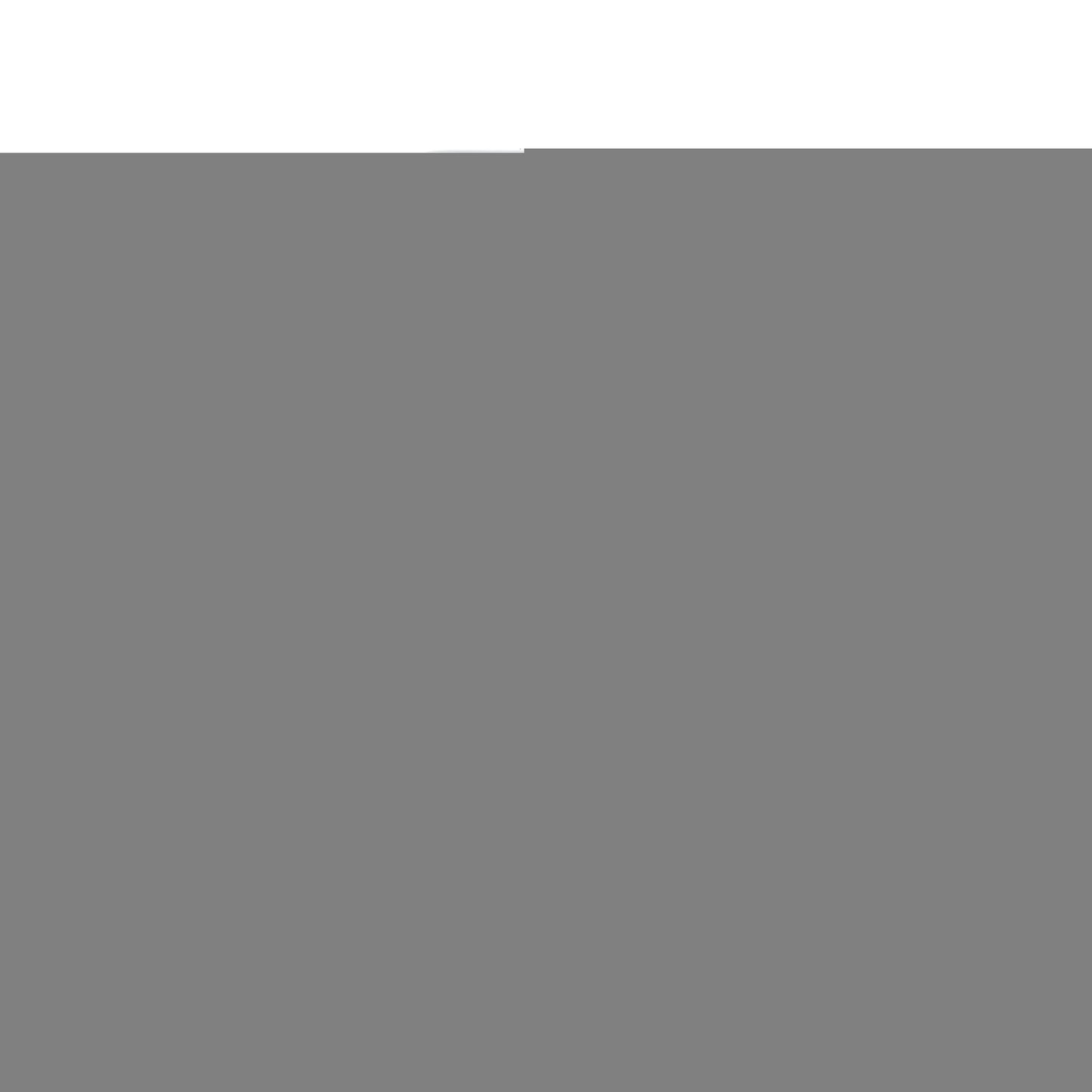 Vintage 1980s Nike Briefcase