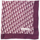 Vintage 2000s Dior Monogram Pixel Silk Scarf