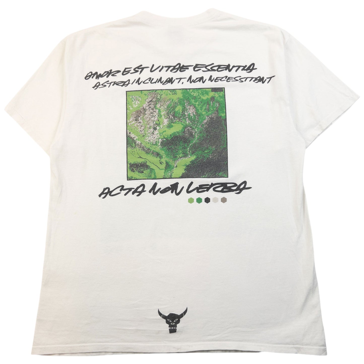 Vintage 2000s Stussy X Futura Graphic T Shirt Size L